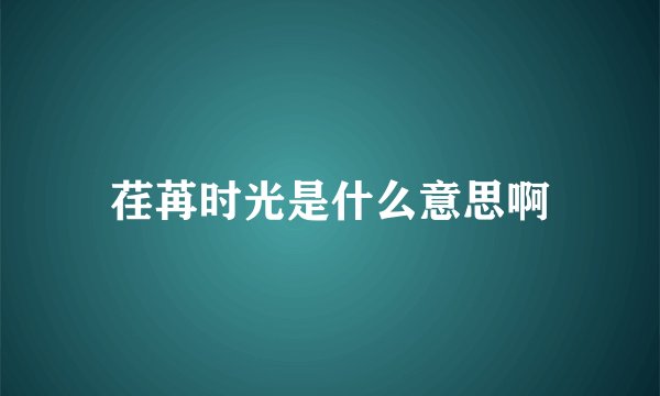 荏苒时光是什么意思啊