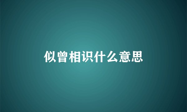 似曾相识什么意思
