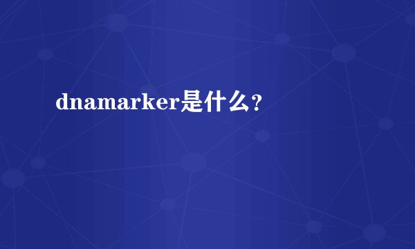 dnamarker是什么？