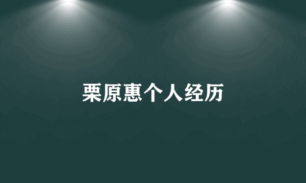 栗原惠个人经历