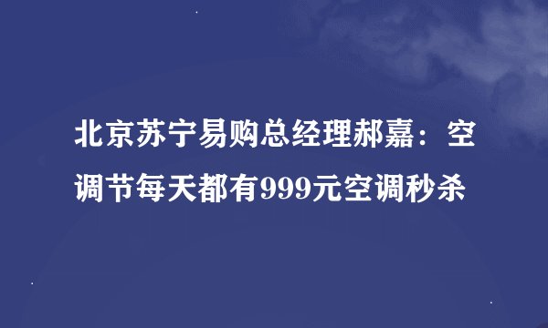北京苏宁易购总经理郝嘉：空调节每天都有999元空调秒杀