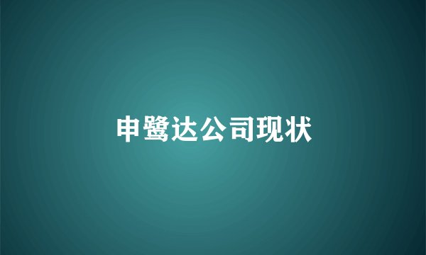 申鹭达公司现状