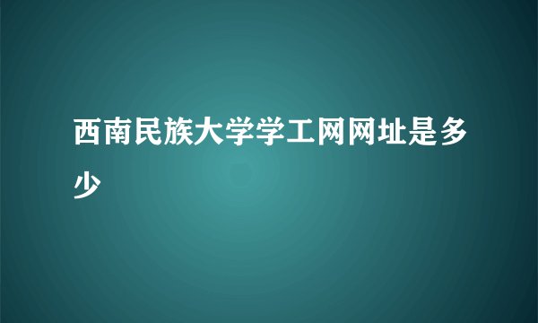 西南民族大学学工网网址是多少