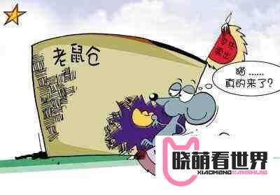 银广夏陷阱:一只庄股的前世今生,谈谈银广夏的陨落