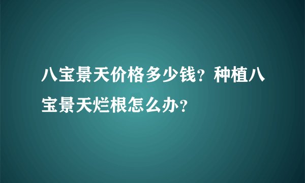 八宝景天价格多少钱？种植八宝景天烂根怎么办？