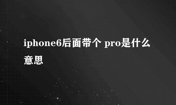 iphone6后面带个 pro是什么意思