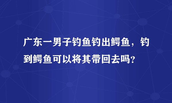广东一男子钓鱼钓出鳄鱼，钓到鳄鱼可以将其带回去吗？