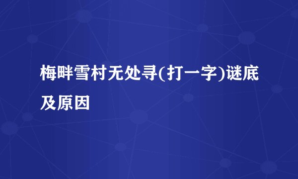 梅畔雪村无处寻(打一字)谜底及原因