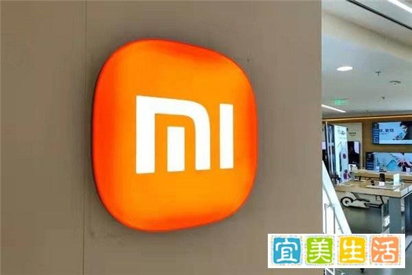 小米港股股价为何暴跌？