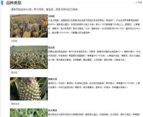 台湾名嘴被大陆菠萝产量惊到