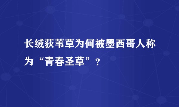长绒荻苇草为何被墨西哥人称为“青春圣草”？