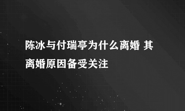 陈冰与付瑞亭为什么离婚 其离婚原因备受关注