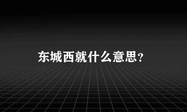 东城西就什么意思？