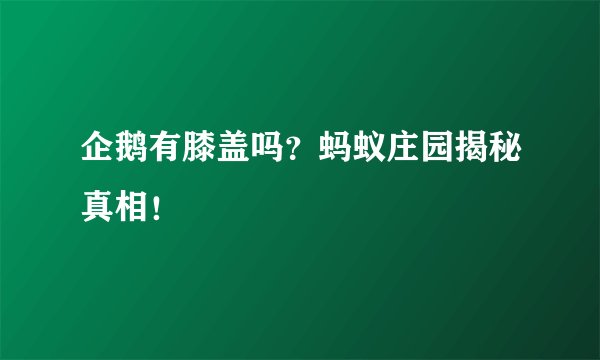 企鹅有膝盖吗？蚂蚁庄园揭秘真相！