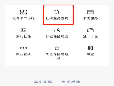 如何查询个人退休金发放明细