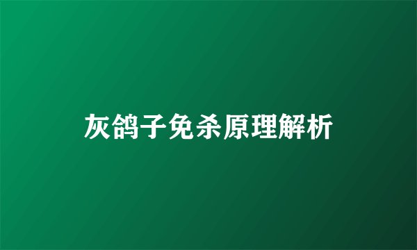灰鸽子免杀原理解析