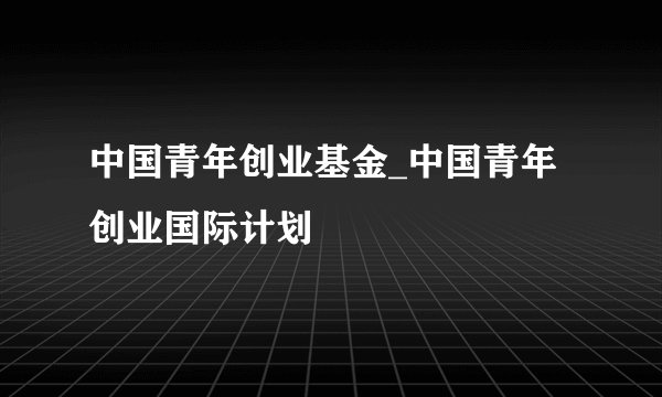 中国青年创业基金_中国青年创业国际计划