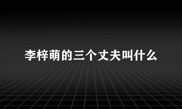 李梓萌的三个丈夫叫什么