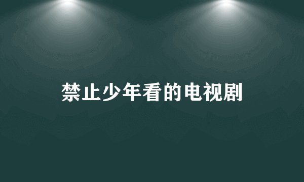 禁止少年看的电视剧