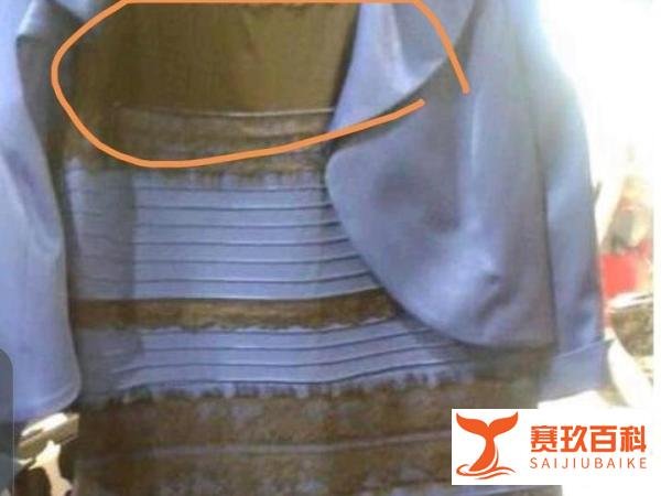 蓝黑还是白金?
