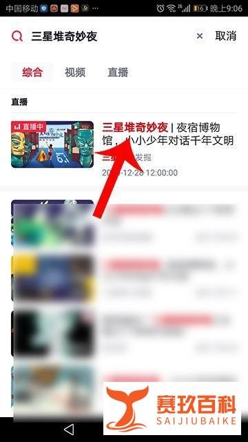 三星堆奇妙夜直播在哪看