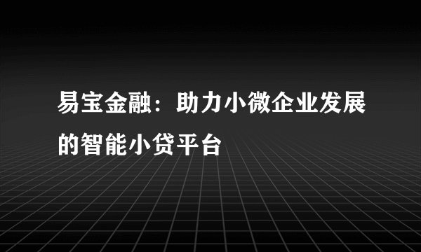 易宝金融：助力小微企业发展的智能小贷平台