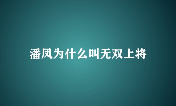 潘凤为什么叫无双上将