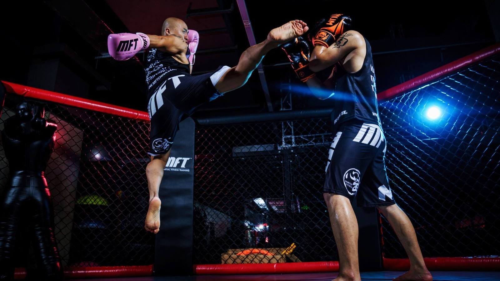 陈鹤皋被称武林奇葩,为何没人敢挑战他的疯狗拳?