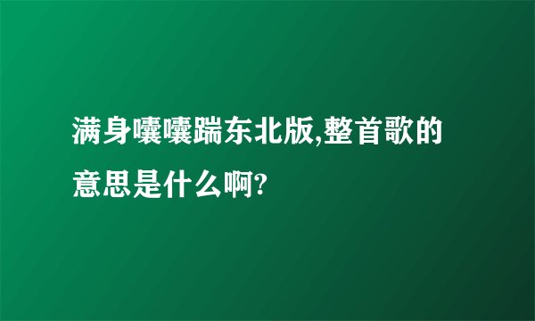 满身囔囔踹东北版,整首歌的意思是什么啊?
