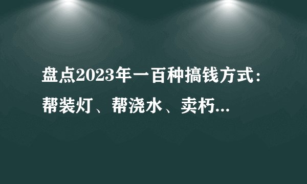盘点2023年一百种搞钱方式：帮装灯、帮浇水、卖朽木、开搞钱课……总有一种适合你