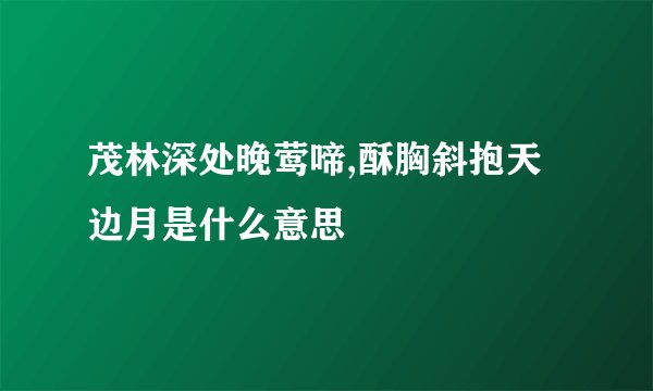 茂林深处晚莺啼,酥胸斜抱天边月是什么意思