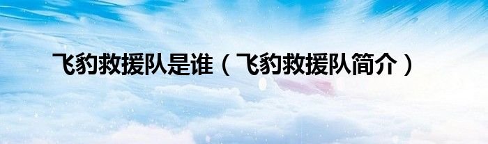飞豹救援队是谁飞豹救援队简介