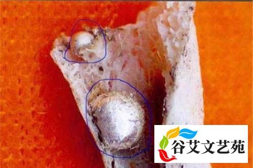 舍利子的化学成分是什么？为何普通人没有，只有高僧圆寂后才有？