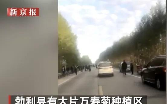 黑龙江特大车祸15人遇难,死者身份让人泪崩