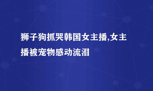 狮子狗抓哭韩国女主播,女主播被宠物感动流泪