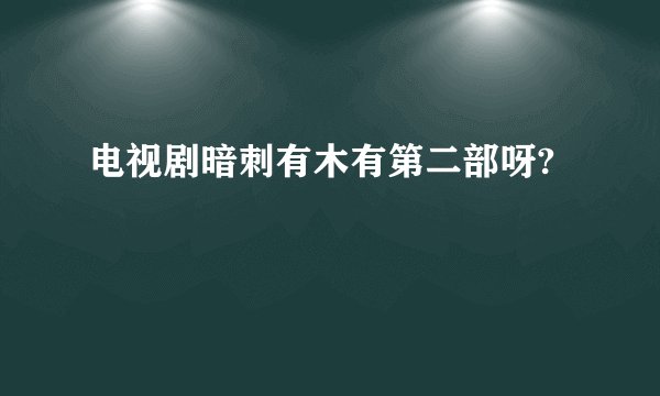 电视剧暗刺有木有第二部呀?