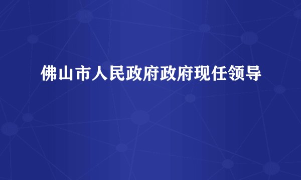 佛山市人民政府政府现任领导