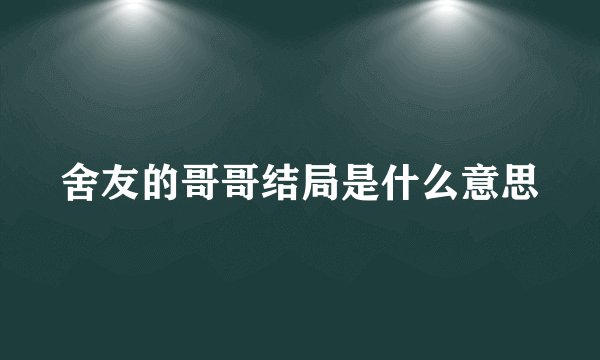 舍友的哥哥结局是什么意思