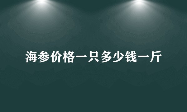 海参价格一只多少钱一斤