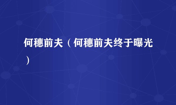 何穗前夫（何穗前夫终于曝光）