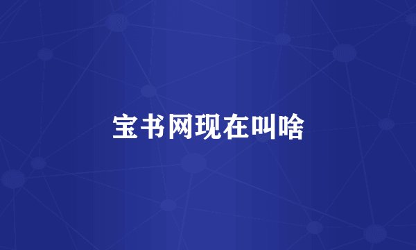 宝书网现在叫啥