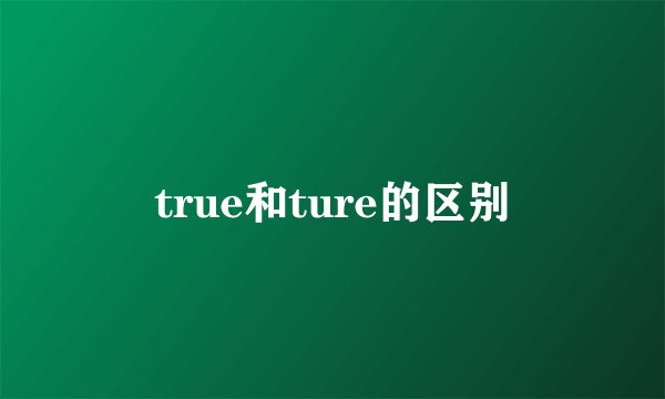 true和ture的区别