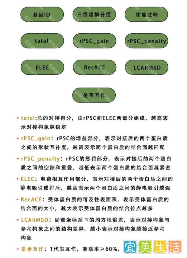 AI模型分析蛋白只知道AlphaFold? 瑞源自主研发AI-PPI模型以超60%准确度预测蛋白互作信息