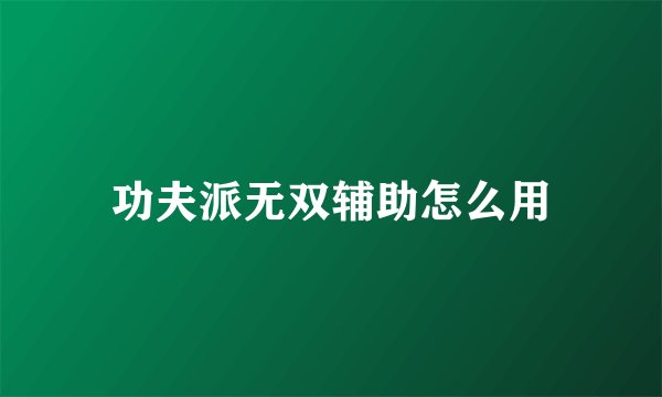 功夫派无双辅助怎么用