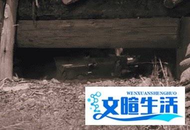 美国战争电影《火海浴血战》