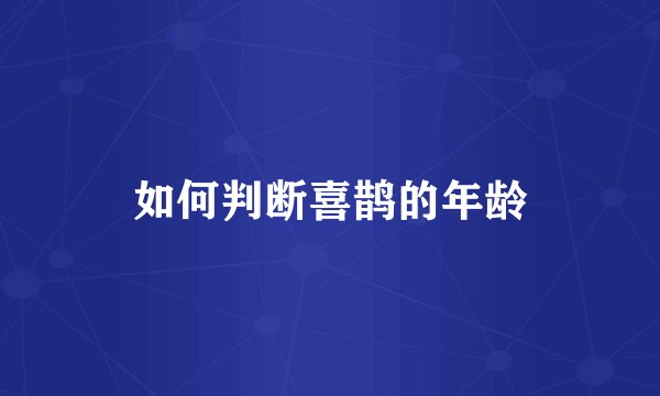 如何判断喜鹊的年龄