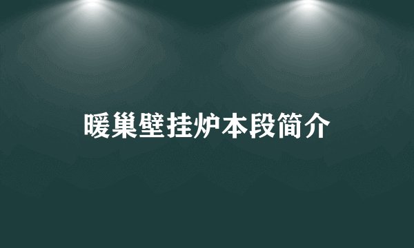 暖巢壁挂炉本段简介