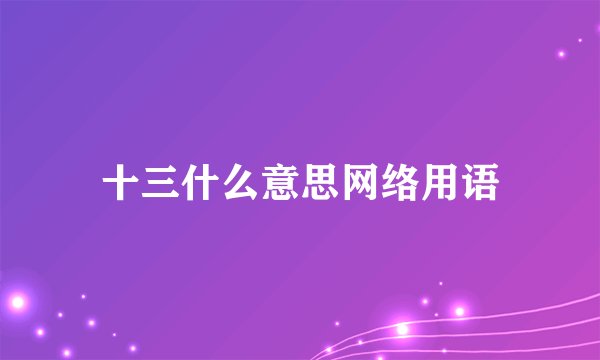 十三什么意思网络用语