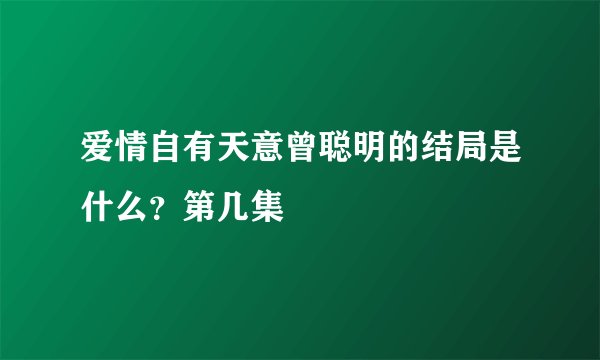 爱情自有天意曾聪明的结局是什么？第几集