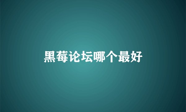 黑莓论坛哪个最好